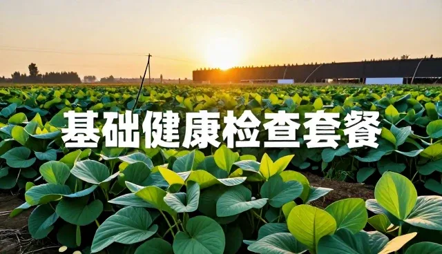 健康检查项目缺失对医疗服务质量的影响